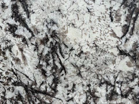 White Orion granite
